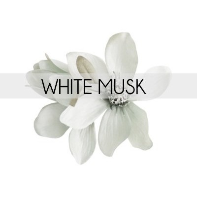 SmellieBars - white musk SmellieBars - white musk